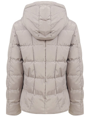 Wookie Quilted Hooded Jacket In Fog Stone - Tokyo Laundry