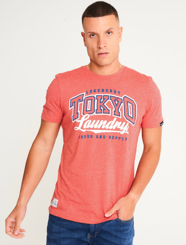 Prema Motif Cotton Jersey Grindle T-Shirt in Light Red - Tokyo Laundry