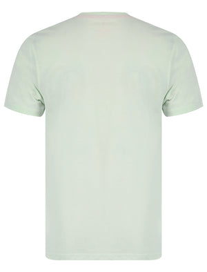 Colwell Motif Cotton Jersey T-Shirt in Hint Of Mint - South Shore