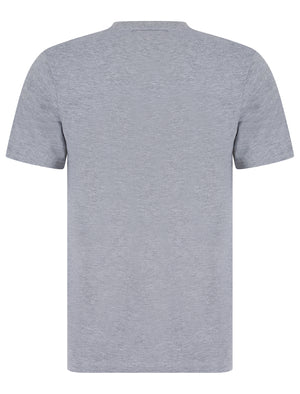 Montrose Motif Cotton Jersey Crew Neck T-Shirt in Light Grey Marl - Tokyo Laundry