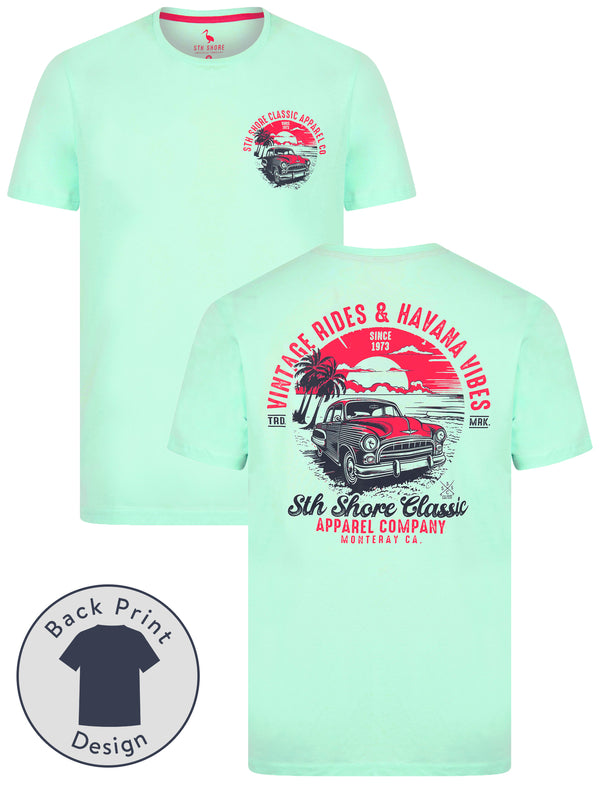 Agger Back Print Vintage Retro Graphic Motif Cotton Jersey T-Shirt in Fair Aqua - South Shore