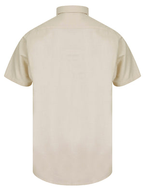 Tiberius Short Sleeve Oxford Cotton Shirt in Oatmeal  - Tokyo Laundry
