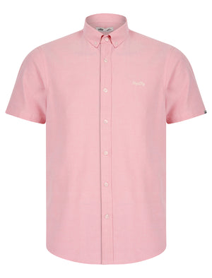 Tiberius Short Sleeve Oxford Cotton Shirt in Pink  - Tokyo Laundry