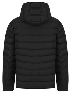 Tamary Quilted Puffer Jacket with Hood in Jet Black - Tokyo Laundry