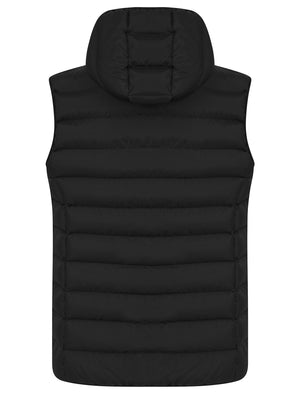 Tamaki Quilted Puffer Gilet with Hood in Jet Black - Tokyo Laundry