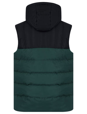 Tarlo Micro-Fleece Lined Hooded Quilted Puffer Gilet in Jet Black - Tokyo Laundry