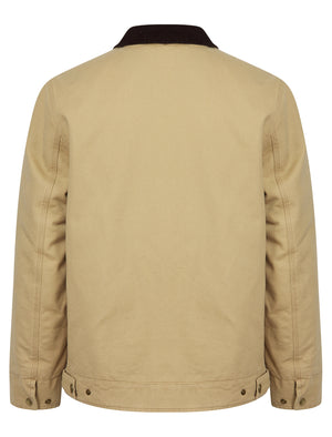Tapko Lightly Padded Canvas Casual Harrington Bomber Jacket with Corduroy Collar in Stone - Tokyo Laundry