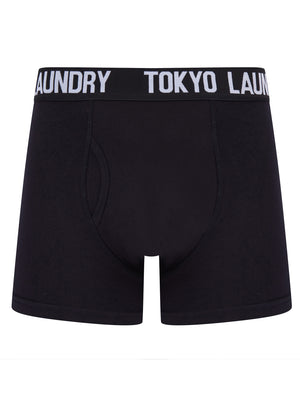 Tilson 2 (2 Pack) Boxer Shorts Set in Atlantis Green / Bright White - Tokyo Laundry