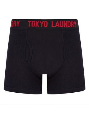 Tilson 2 (2 Pack) Boxer Shorts Set in Mars Red / Blithe - Tokyo Laundry