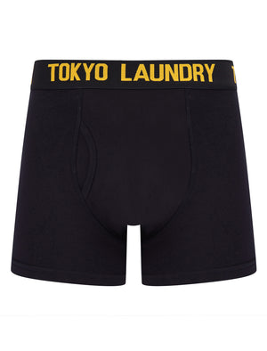 Tilson 2 (2 Pack) Boxer Shorts Set in Carrot / Golden Rod - Tokyo Laundry