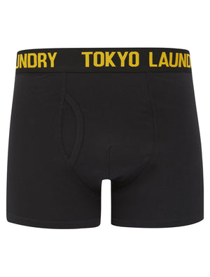 Harland (2 Pack) Boxer Shorts Set in Caribbean Sea / Mimosa Yellow - Tokyo Laundry