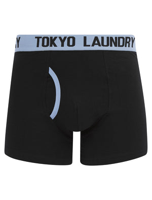 Abbots (2 Pack) Boxer Shorts Set in Heron Blue / True Blue - Tokyo Laundry