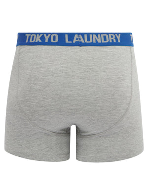 Gavrin (2 Pack) Boxer Shorts Set in Heron Blue / True Blue - Tokyo Laundry
