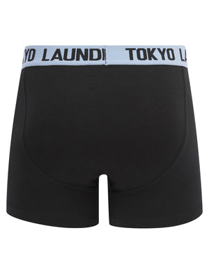 Abbots (2 Pack) Boxer Shorts Set in Heron Blue / True Blue - Tokyo Laundry