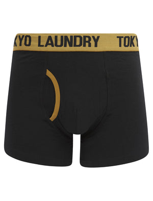 Abbots (2 Pack) Boxer Shorts Set in Cumin / Posy Green - Tokyo Laundry