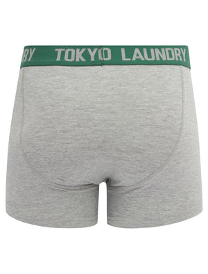 Abbots (2 Pack) Boxer Shorts Set in Cumin / Posy Green - Tokyo Laundry