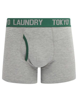 Abbots (2 Pack) Boxer Shorts Set in Cumin / Posy Green - Tokyo Laundry