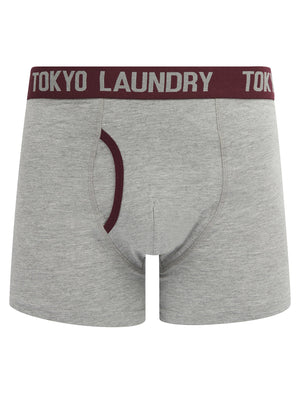 Gavrin (2 Pack) Boxer Shorts Set in Light Grey Marl / Fig - Tokyo Laundry