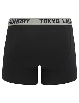 Abbots (2 Pack) Boxer Shorts Set in Light Grey Marl / Fig - Tokyo Laundry