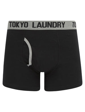 Abbots (2 Pack) Boxer Shorts Set in Light Grey Marl / Fig - Tokyo Laundry