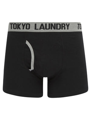 Gavrin (2 Pack) Boxer Shorts Set in Light Grey Marl / Fig - Tokyo Laundry