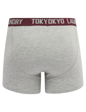 Abbots (2 Pack) Boxer Shorts Set in Light Grey Marl / Fig - Tokyo Laundry