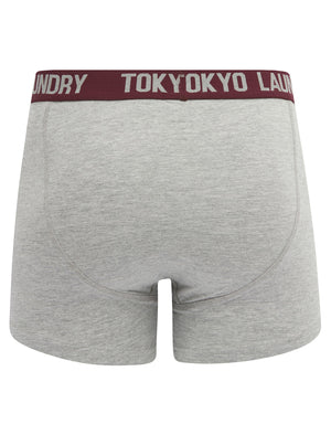 Gavrin (2 Pack) Boxer Shorts Set in Light Grey Marl / Fig - Tokyo Laundry