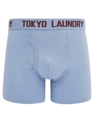 Walpole (2 Pack) Boxer Shorts Set in Heron Blue / Fig - Tokyo Laundry