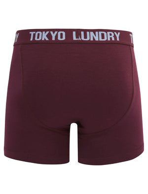 Hillside (2 Pack) Boxer Shorts Set in Heron Blue / Fig - Tokyo Laundry