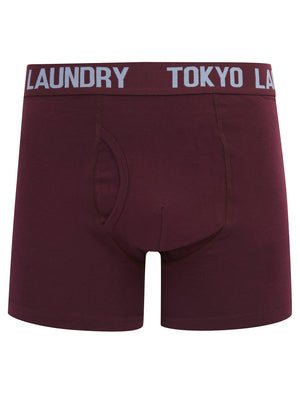 Hillside (2 Pack) Boxer Shorts Set in Heron Blue / Fig - Tokyo Laundry