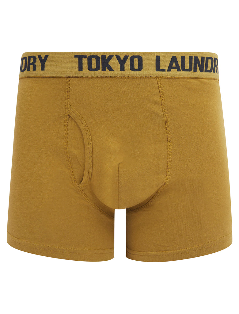 Hillside (2 Pack) Boxer Shorts Set in Cumin / Sky Captain Navy - Tokyo ...