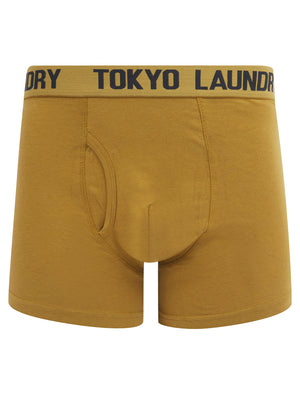 Walpole (2 Pack) Boxer Shorts Set in Cumin / Sky Captain Navy - Tokyo Laundry