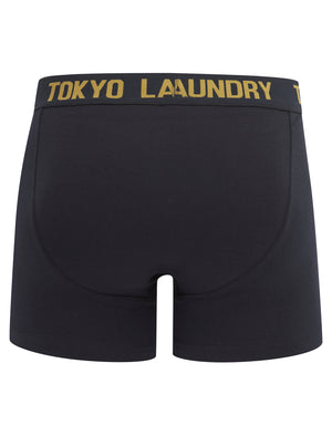 Hillside (2 Pack) Boxer Shorts Set in Cumin / Sky Captain Navy - Tokyo Laundry