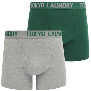 Hillside (2 Pack) Boxer Shorts Set in Posy Green / Light Grey Marl - Tokyo Laundry