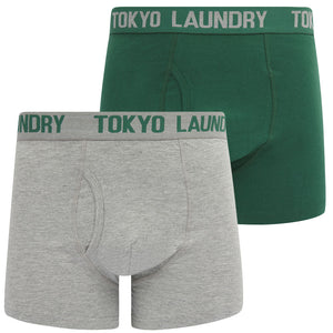 Walpole (2 Pack) Boxer Shorts Set in Posy Green / Light Grey Marl - Tokyo Laundry