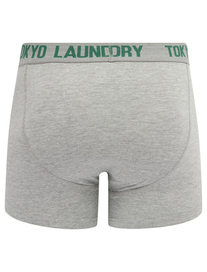 Hillside (2 Pack) Boxer Shorts Set in Posy Green / Light Grey Marl - Tokyo Laundry
