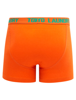 Hillside (2 Pack) Boxer Shorts Set in Deep Green / Orangeade - Tokyo Laundry