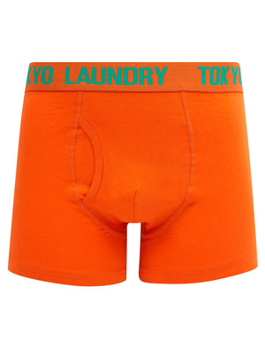 Walpole (2 Pack) Boxer Shorts Set in Deep Green / Orangeade - Tokyo Laundry