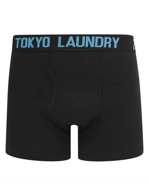Walkers (2 Pack) Boxer Shorts Set in Azure Blue / Cannoli Cream - Tokyo Laundry