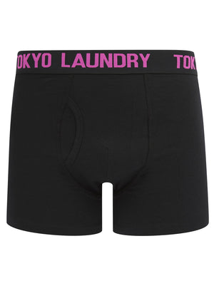 Saunders (2 Pack) Boxer Shorts Set in Deep Green / Raspberry Rose - Tokyo Laundry