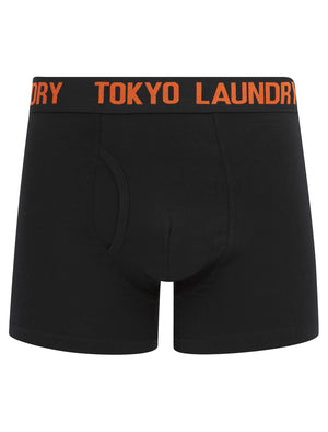 Walkers (2 Pack) Boxer Shorts Set in Sunlit Allium Violet / Orangeade - Tokyo Laundry