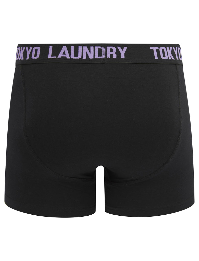 Walkers (2 Pack) Boxer Shorts Set in Sunlit Allium Violet / Orangeade ...