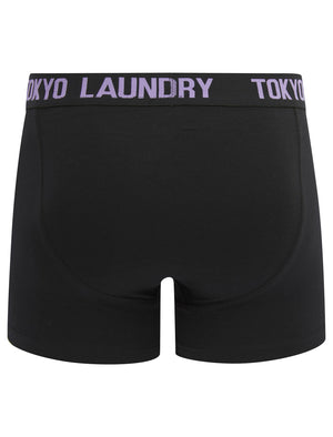 Saunders (2 Pack) Boxer Shorts Set in Sunlit Allium Violet / Orangeade - Tokyo Laundry
