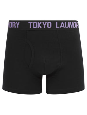 Walkers (2 Pack) Boxer Shorts Set in Sunlit Allium Violet / Orangeade - Tokyo Laundry
