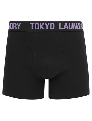 Saunders (2 Pack) Boxer Shorts Set in Sunlit Allium Violet / Orangeade - Tokyo Laundry
