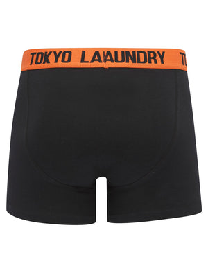 Sadie (2 Pack) Boxer Shorts Set in Orangeade / Deep Green - Tokyo Laundry