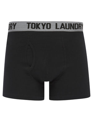 Marthem (2 Pack) Boxer Shorts Set in Raspberry Rose / Mid Grey Marl - Tokyo Laundry