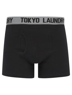 Sadie (2 Pack) Boxer Shorts Set in Raspberry Rose / Mid Grey Marl - Tokyo Laundry