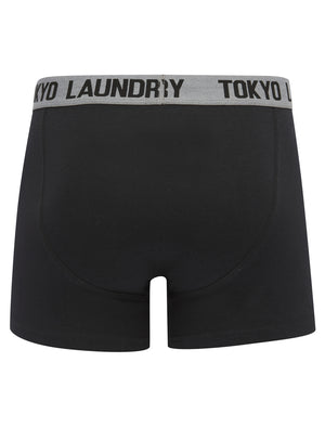 Marthem (2 Pack) Boxer Shorts Set in Raspberry Rose / Mid Grey Marl - Tokyo Laundry