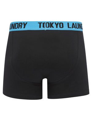 Sadie (2 Pack) Boxer Shorts Set in Cannoli Cream / Azure Blue - Tokyo Laundry